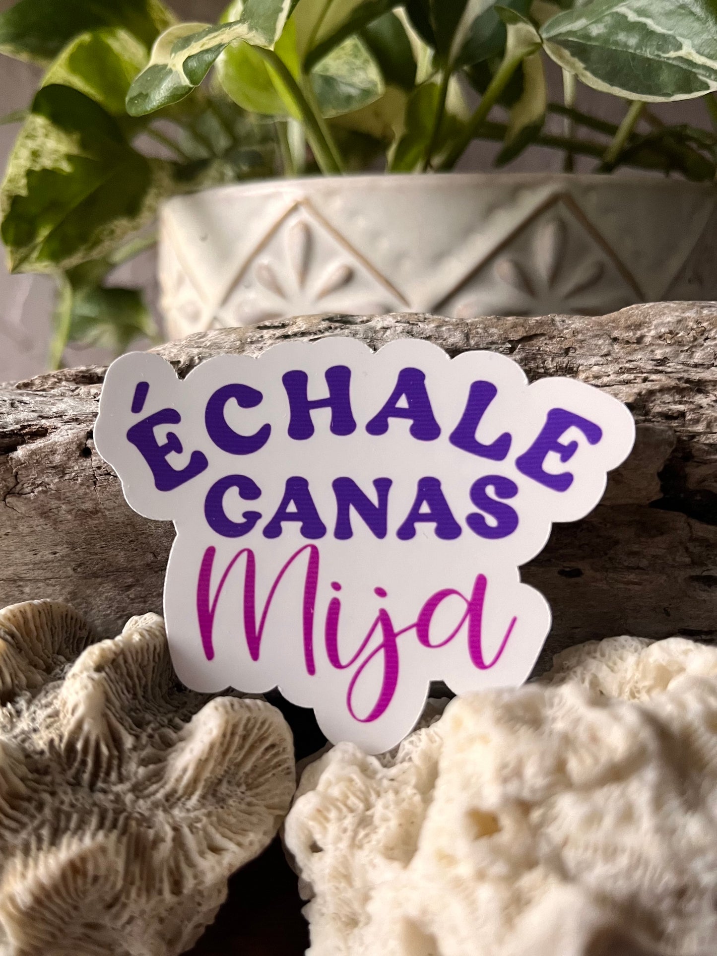 Echale Ganas Mija Vinyl Sticker