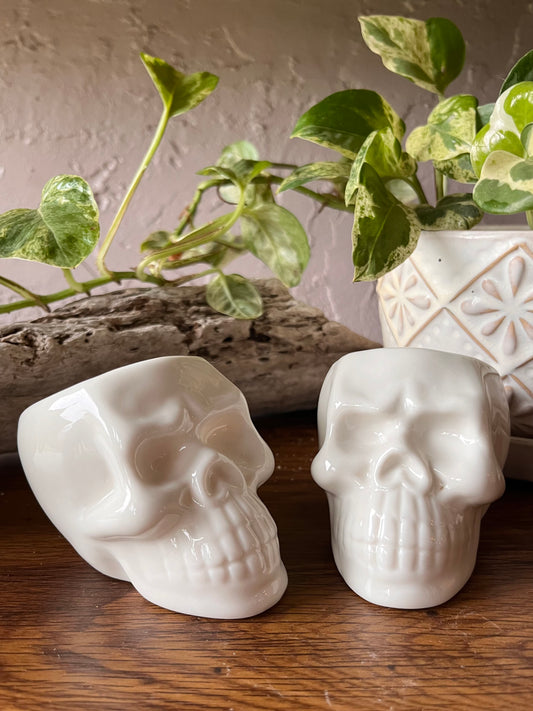 Pair of Ceramic Skull Planters