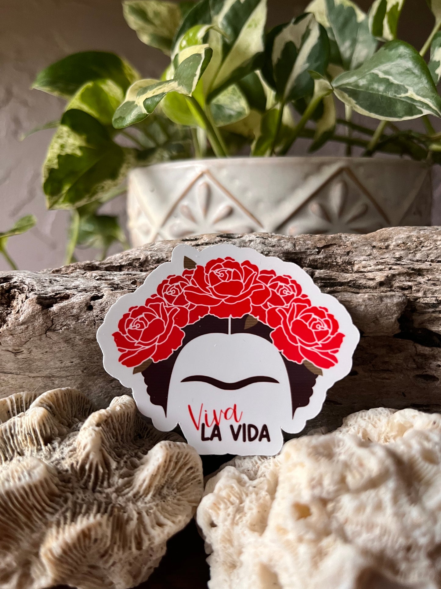 Viva La Frida Vinyl Sticker